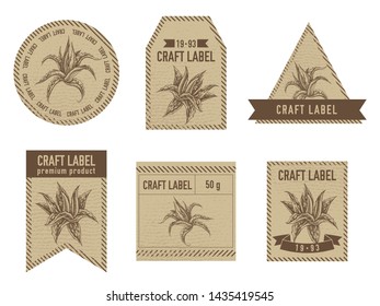 Craft labels with aloe stock illustration
