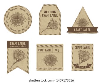 Craft labels with eucalyptus flower hand drawn illustration