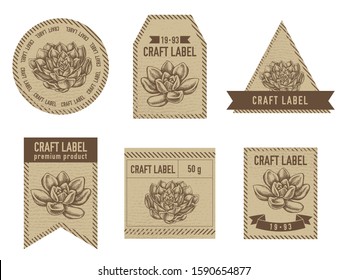 Craft labels vintage design with illustration of succulent echeveria