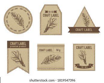 Craft labels vintage design with illustration of bromeliad