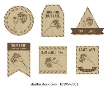 Craft labels vintage design with illustration of rosemary everlasting