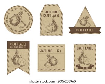 Craft labels vintage design with illustration of pitaya