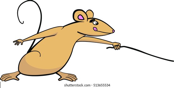 Crafty smiling field mouse pokes with stick