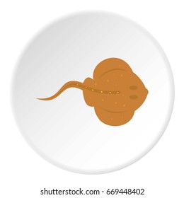 Cramp fish icon in flat circle isolated on white background vector illustration for web