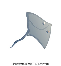 Cramp fish on white background. Water life.