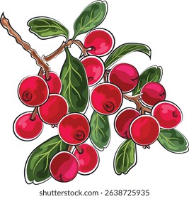 cranberries autumn element marker doodle style