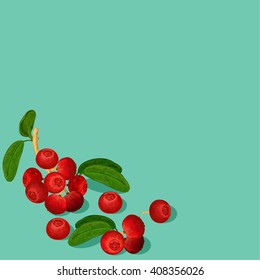 cranberries card