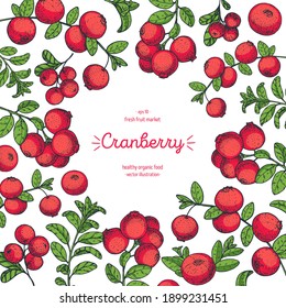 Cranberries esboza la ilustración vectorial del marco. Fresas de arándano dibujadas a mano. Diseño de estilo vintage. Comida orgánica, comida saludable.