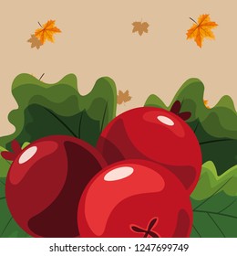 cranberries icon image