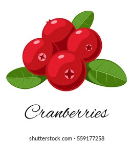 cranberry vector