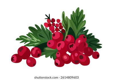 Cranberries with leaves. Vector isolated illustration.