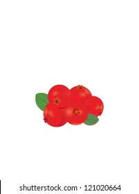 Cranberries on white background