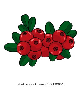 Cranberries on a white background