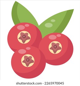 arándanos con un diseño de ilustración plano rojo y 3 arándanos, luego hojas y sombra de fruto