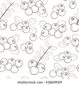 Cranberries seamless. Sketch. Black and white image