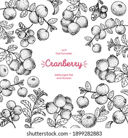 Cranberries esboza la ilustración vectorial del marco. Fresas de arándano dibujadas a mano. Diseño de estilo vintage. Comida orgánica, comida saludable.