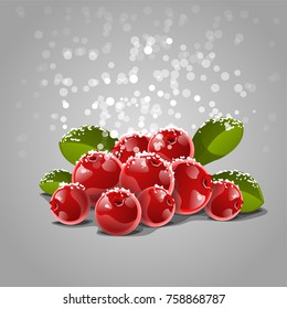 Cranberries With Snow