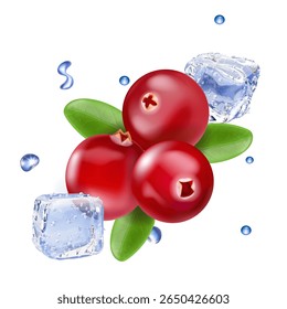 Cranberry berries on a white background with ice cubes. Realistic cranberry cold juice icon illustration. Fresh summer drink. Vector illustration