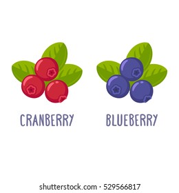 Cranberry and blueberry illustration. Cartoon vector set of berries.