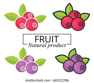 cranberry and blueberry vector with text