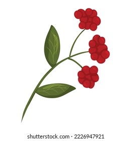 Cranberry branch with green leaves, isolated on white background. Cartoon style