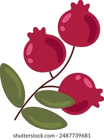 Cranberry Branch With Leaves Vector Illustration