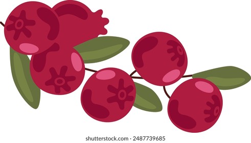 Cranberry Branch With Leaves Vector Illustration