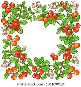 cranberry branch vector frame