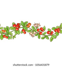 cranberry branch vector pattern