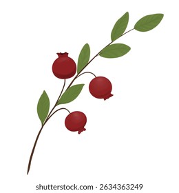 cranberry Branches with Oval Leaves Bearing Edible Red Fruit. Vector Stock Illustration. Forest plant. Isolated on a white background.