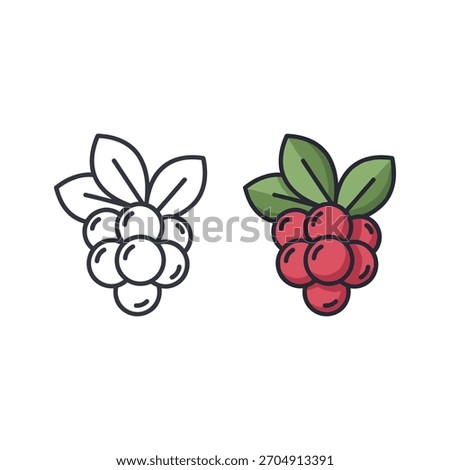 Cranberry bunch isolated on, line and color drawing style