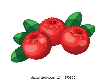 
Cranberry in cartoon style. Vector illustration of delicious bunch of red cranberry berries with green leaves isolated on white background. Healthy nutrition.