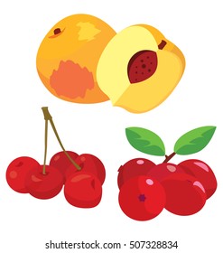 cranberry, cherry, peach - healthy fruit. For your convenience, each significant element is in a separate layer. Eps 10