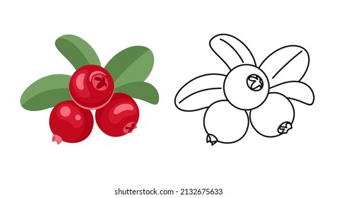 Ilustración y contorno de la caricatura de color de arándano. Berry roja fresca de vectores. Icono plano.