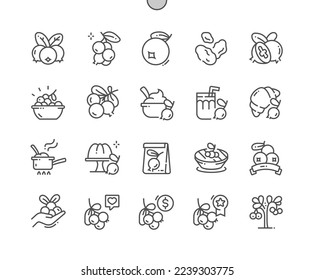 Cranberry. Cooking, recipes and price. Sauce, juice. Food shop, supermarket. Menu for cafe. Pixel Perfect Vector Thin Line Icons. Simple Minimal Pictogram