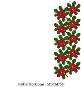 cranberry (cowberry) branches frame, border, isolated on white background, with place for text.