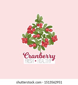 Cranberry. Element for design. Good for product label. Colored vector illustration.	