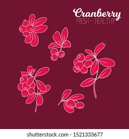 Cranberry. Element for design. Good for product label. Outline hand drawing vector illustration in red colors	
