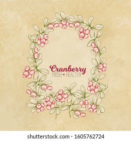 Cranberry. Element for design. Good for product label. Colored vector illustration. On kraft paper background.