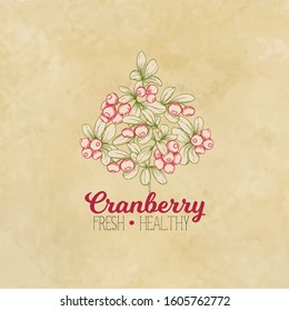 Cranberry. Element for design. Good for product label. Colored vector illustration. On kraft paper background.