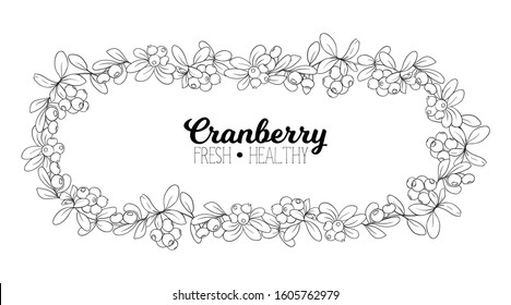 Cranberry. Element for design. Good for product label. Outline hand drawing vector illustration..