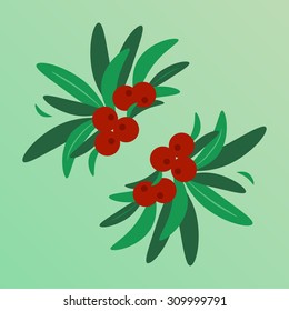 Cranberry flat illustration. Cowberry flat illustration. Healthy food concept. Cranberries with leaves on light green background. Cowberries and leaf on fresh backdrop. Vegetarian concept with berry.