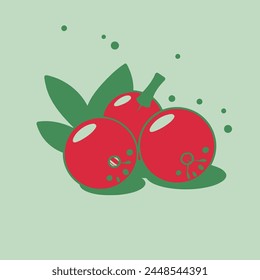Cranberry Flat Vector Illustration Fruit, Red Berry, Healthy, Food, Icon.