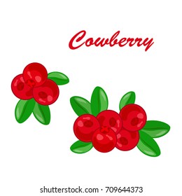 Cranberry fruit bunch cartoon icon. Ripe red berry of cranberry fruit with green branch and leaves. Organic natural food and juice label, healthy dessert, sauce recipe design
