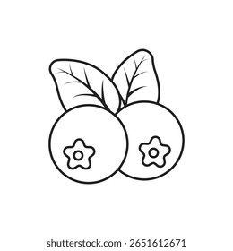 Cranberry fruit icon in stroke linear flat style. Lingonberry vector illustration on isolated background. Fresh berry sign business concept.