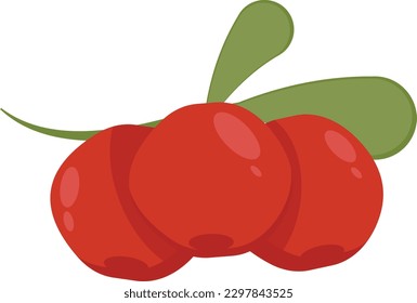 Cranberry-Frucht-Vektorgrafik einzeln auf weißem Hintergrund