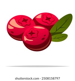 Vector de fruta de arándano aislado ilustración