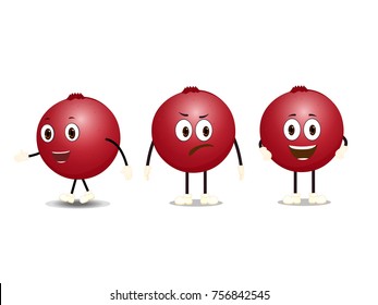 Cranberry Fruits - Cartoon Vector Image
