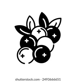 Cranberry Glyph Icon, Vector illustration