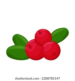 Cranberry with green leaves on white background.For your design, pattern, badge, label, textile etc. Summer fruits for healthy lifestyle. Organic fruit. Cartoon style. Vector illustration.